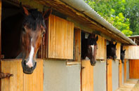 free Horsey stable construction quotes
